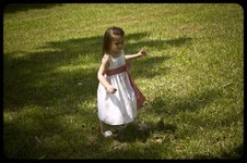 Enlarge photo 143