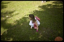 Enlarge photo 144