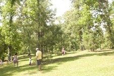 Enlarge photo 154