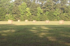 Enlarge photo 199