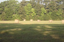 Enlarge photo 202
