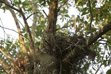 Enlarge photo 166