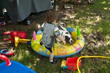 Enlarge photo 33