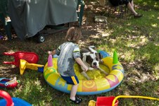 Enlarge photo 35