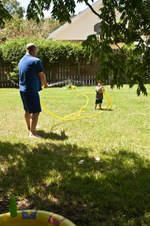 Enlarge photo 53