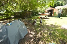 Enlarge photo 64