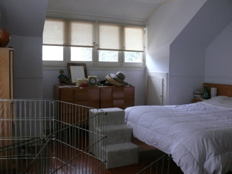 Enlarge photo 37