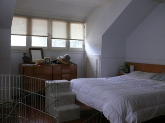 Enlarge photo 38