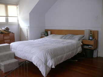 Enlarge photo 42