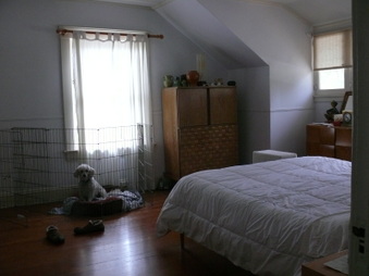 Enlarge photo 46