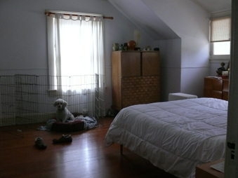 Enlarge photo 47