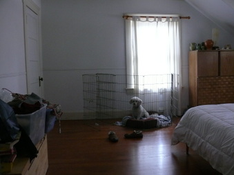 Enlarge photo 48