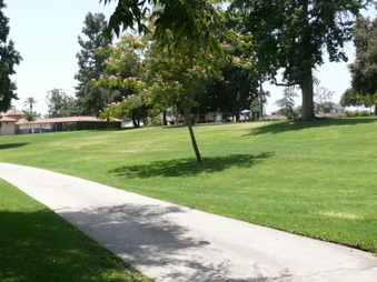 Enlarge photo 26