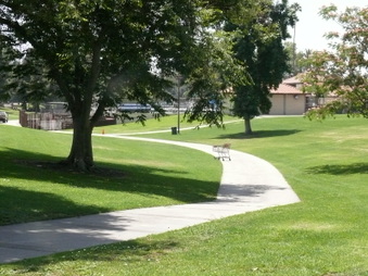 Enlarge photo 28