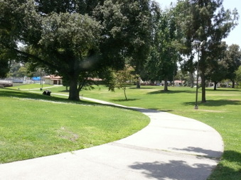 Enlarge photo 32