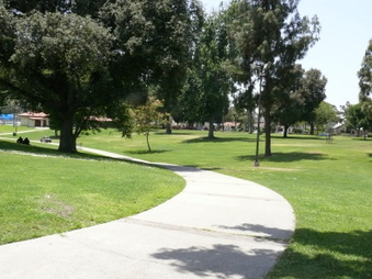 Enlarge photo 33