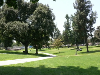 Enlarge photo 34