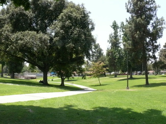 Enlarge photo 35