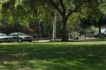 Enlarge photo 16