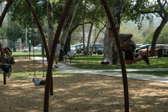 Enlarge photo 17