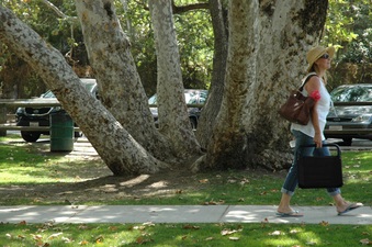 Enlarge photo 20