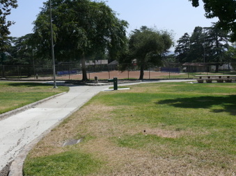 Enlarge photo 31