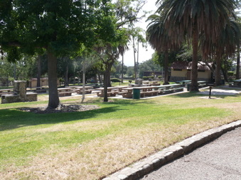 Enlarge photo 33