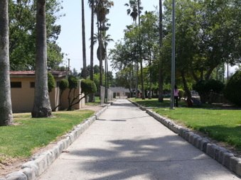 Enlarge photo 51