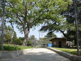 Enlarge photo 57