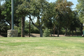 Enlarge photo 21