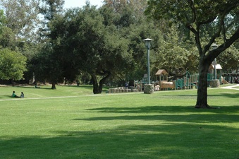 Enlarge photo 31