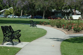 Enlarge photo 32