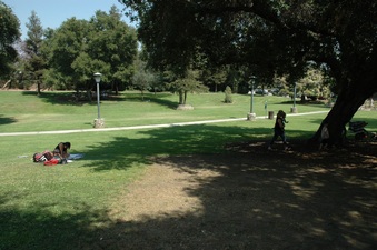Enlarge photo 35
