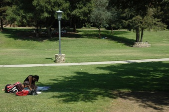 Enlarge photo 36
