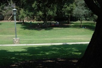 Enlarge photo 37