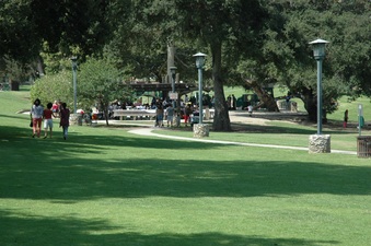 Enlarge photo 40