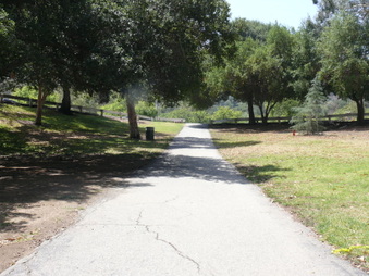 Enlarge photo 7