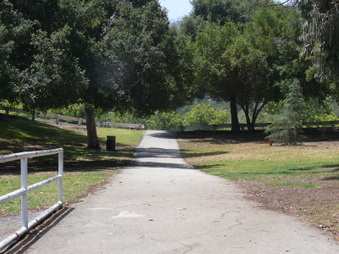 Enlarge photo 12