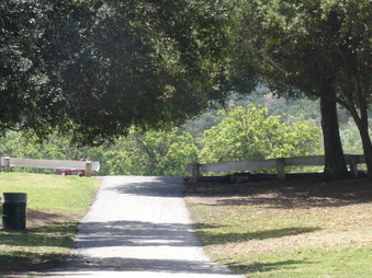 Enlarge photo 14