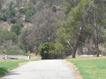 Enlarge photo 19