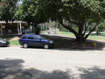 Enlarge photo 34