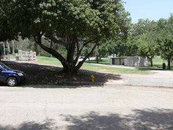Enlarge photo 35