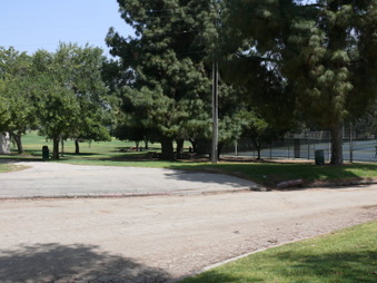 Enlarge photo 37