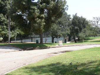 Enlarge photo 38