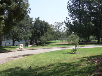 Enlarge photo 39