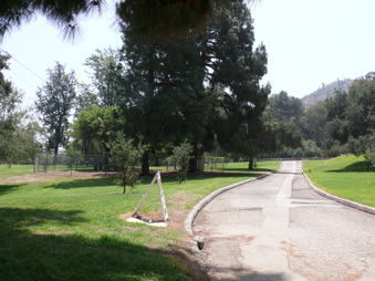 Enlarge photo 40