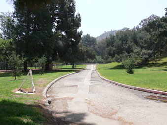 Enlarge photo 41