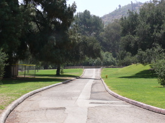 Enlarge photo 42