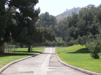 Enlarge photo 43