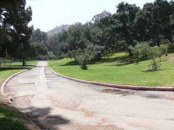 Enlarge photo 44